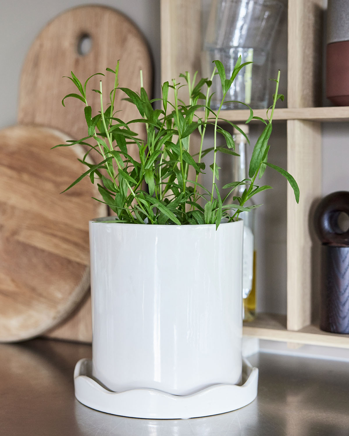 plant pot with saucer Nami Pot with Saucer
