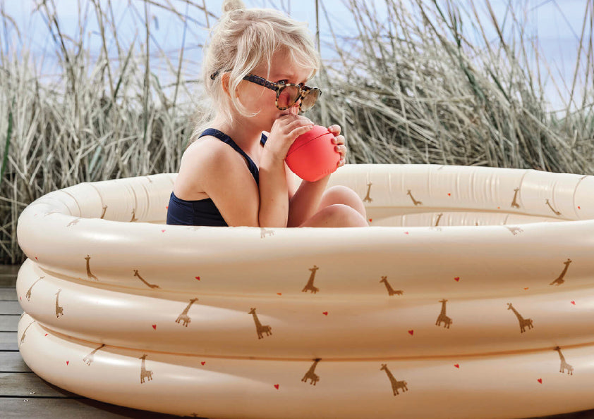 Giraffe Swimming Pool Small &amp; Beach Ball