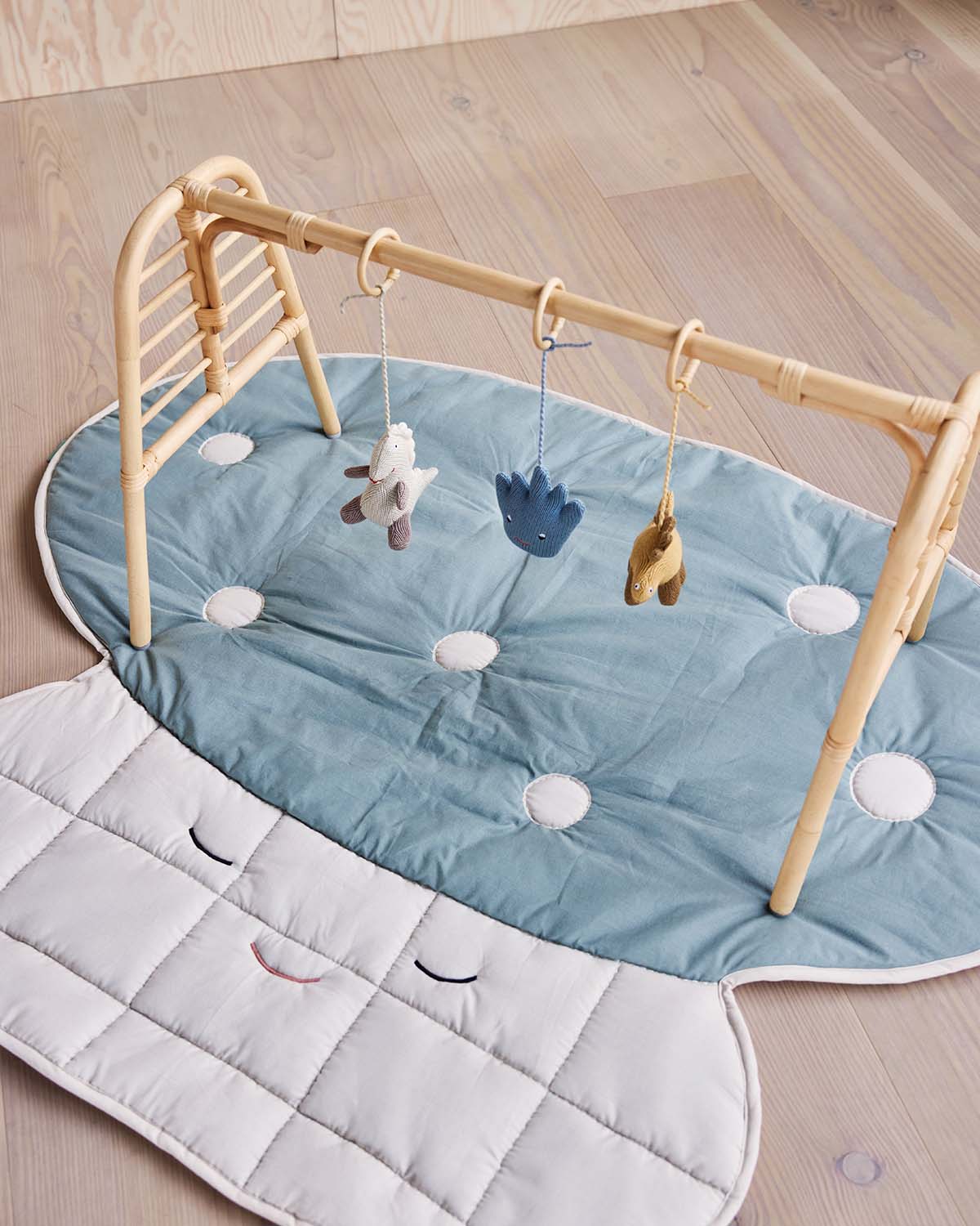 Nana Mini Activity Play Gym