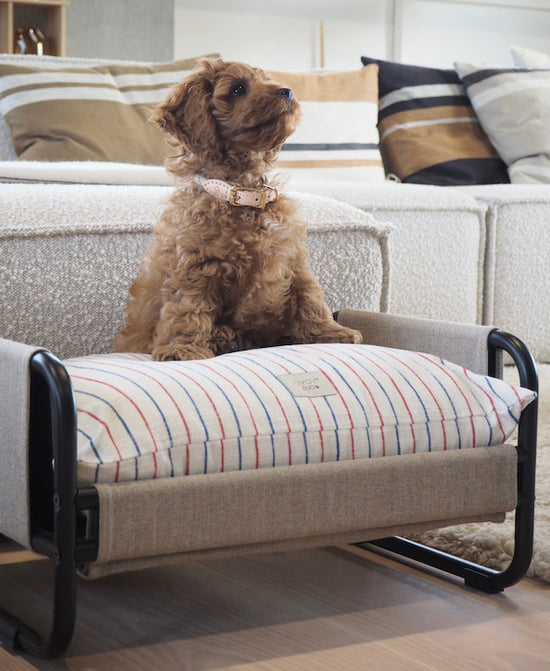 Indlæs billede i Gallery viewer, OYOY ZOO Milo Dog Bed - Small Dog Bed
