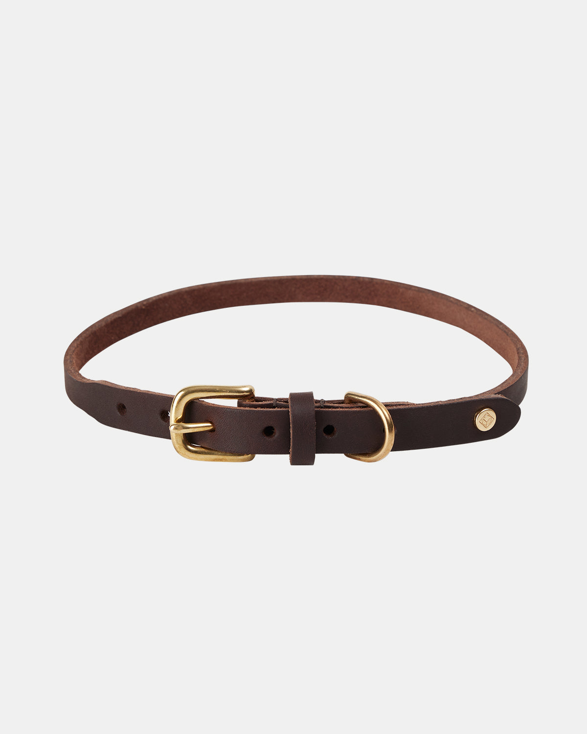 Robin Dog Collar - Extra Large