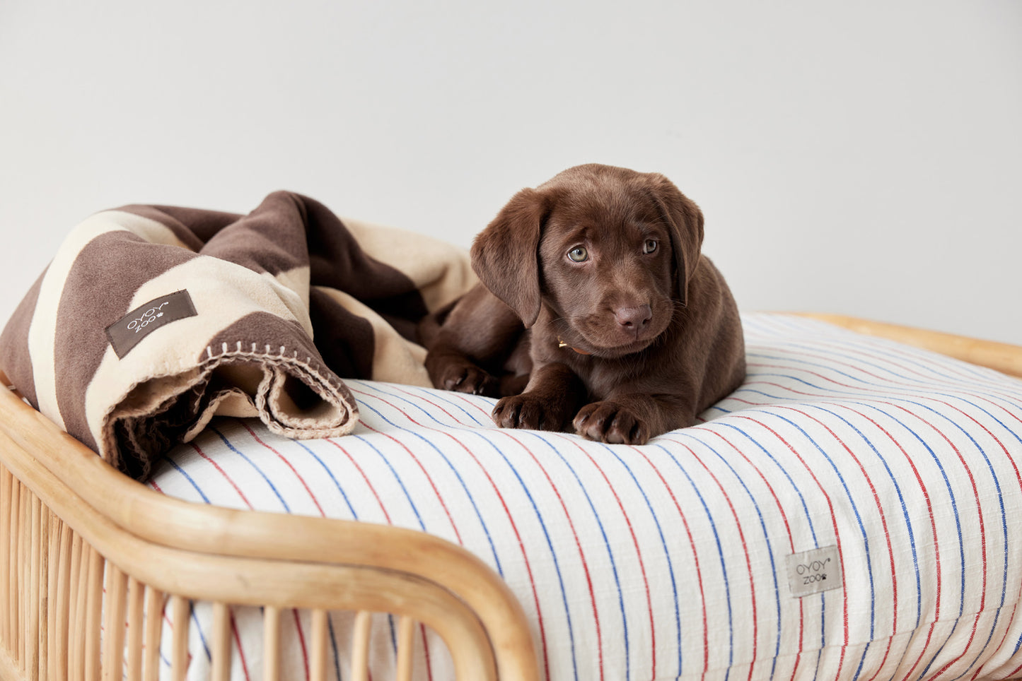 OYOY ZOO Otto Dog Bed - Large Dog Bed