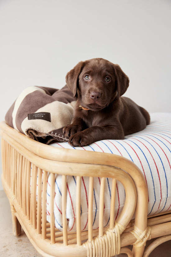 OYOY ZOO Otto Dog Bed - Large Dog Bed 901 Nature