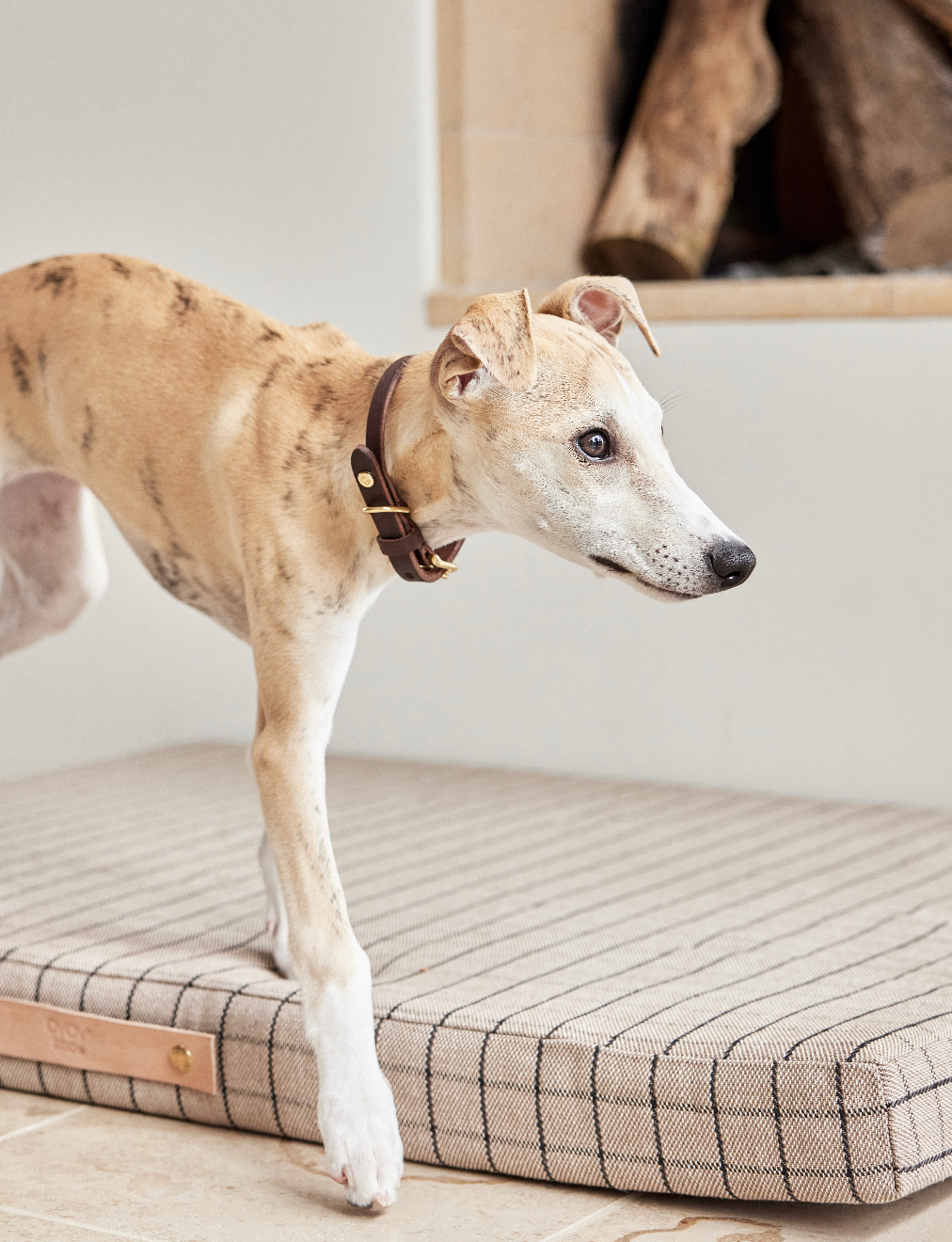 Robin Dog Collar - Choko - S