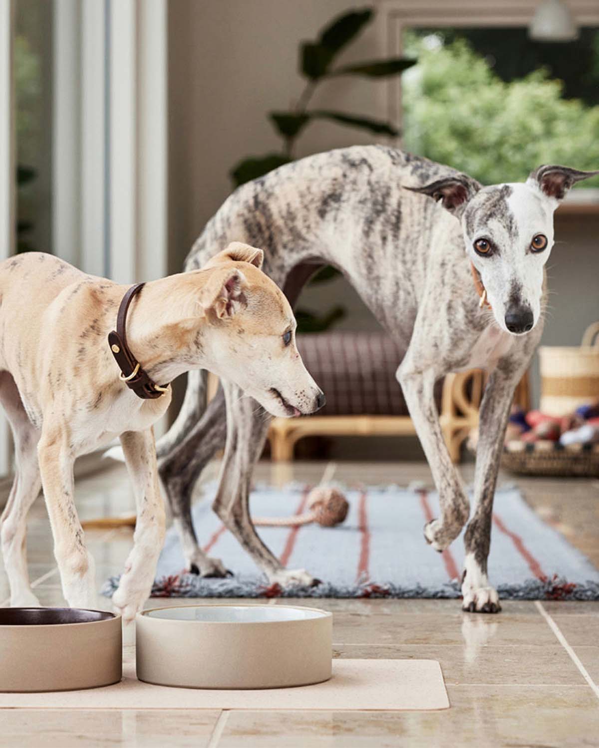 Koko Dog Bowl Mat