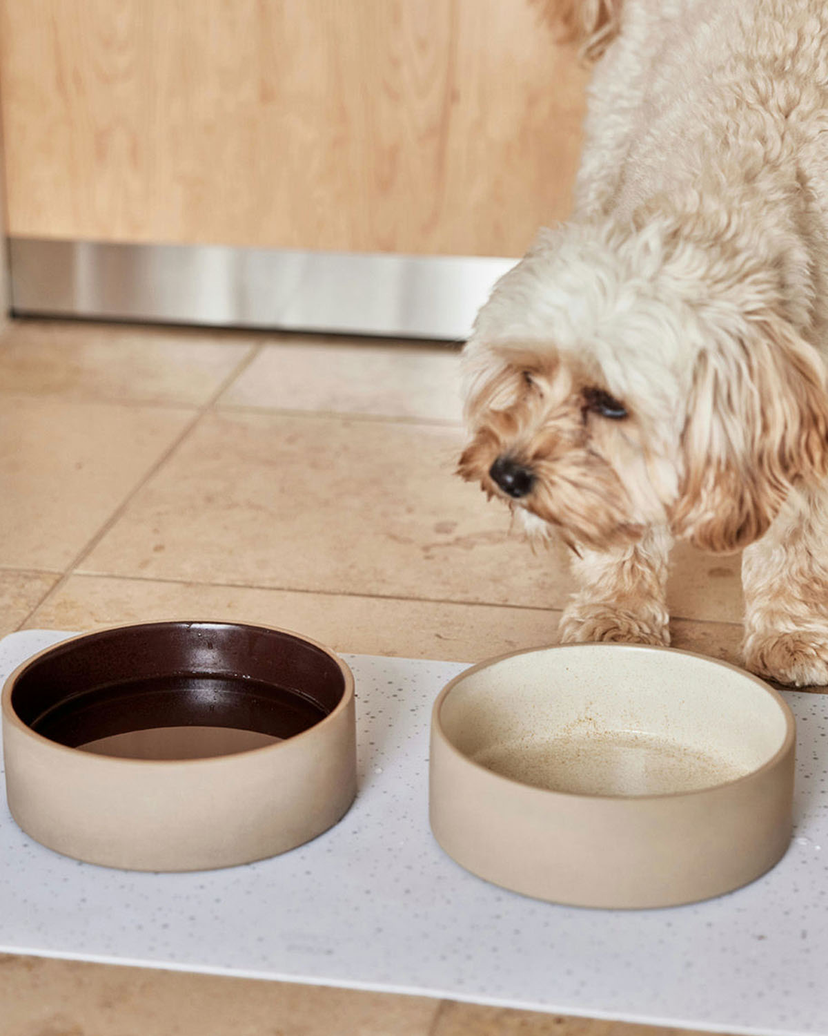 Sia Dog Bowl - Small - 380ml