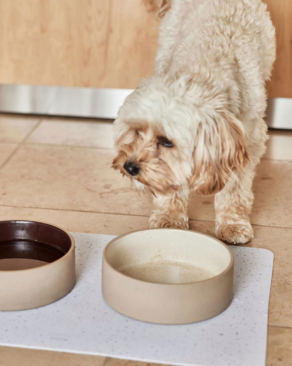 Sia Dog Bowl - Medium - 820ml