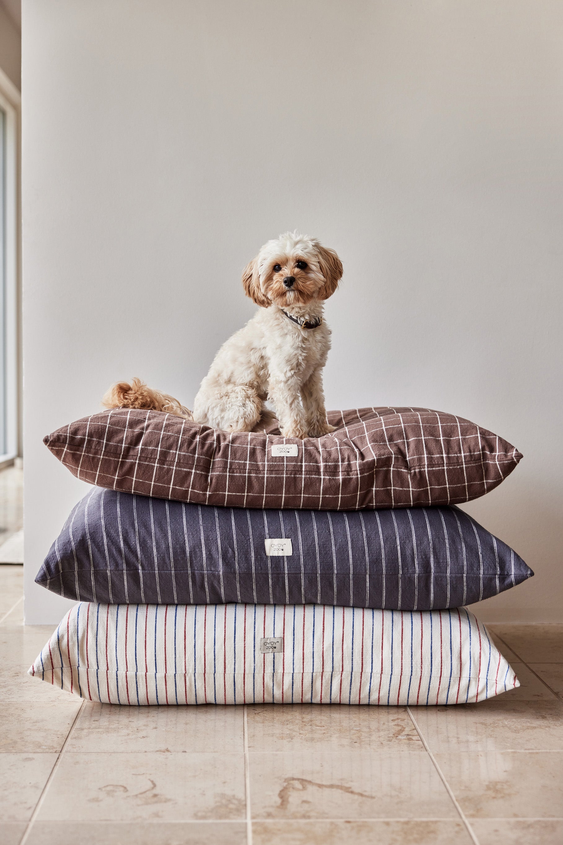 Kyoto Dog Cushion - Small (Includes Cushion Filling)