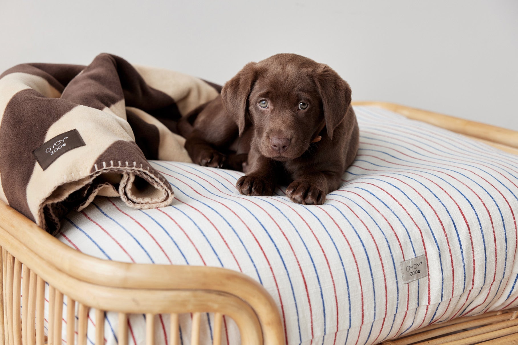 Otto Dog Bed - Small