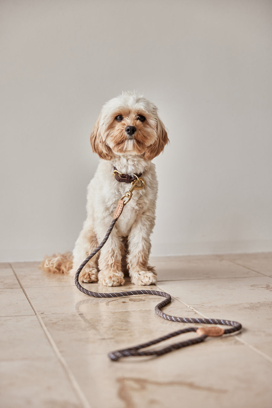 Perry Dog Leash - S/M