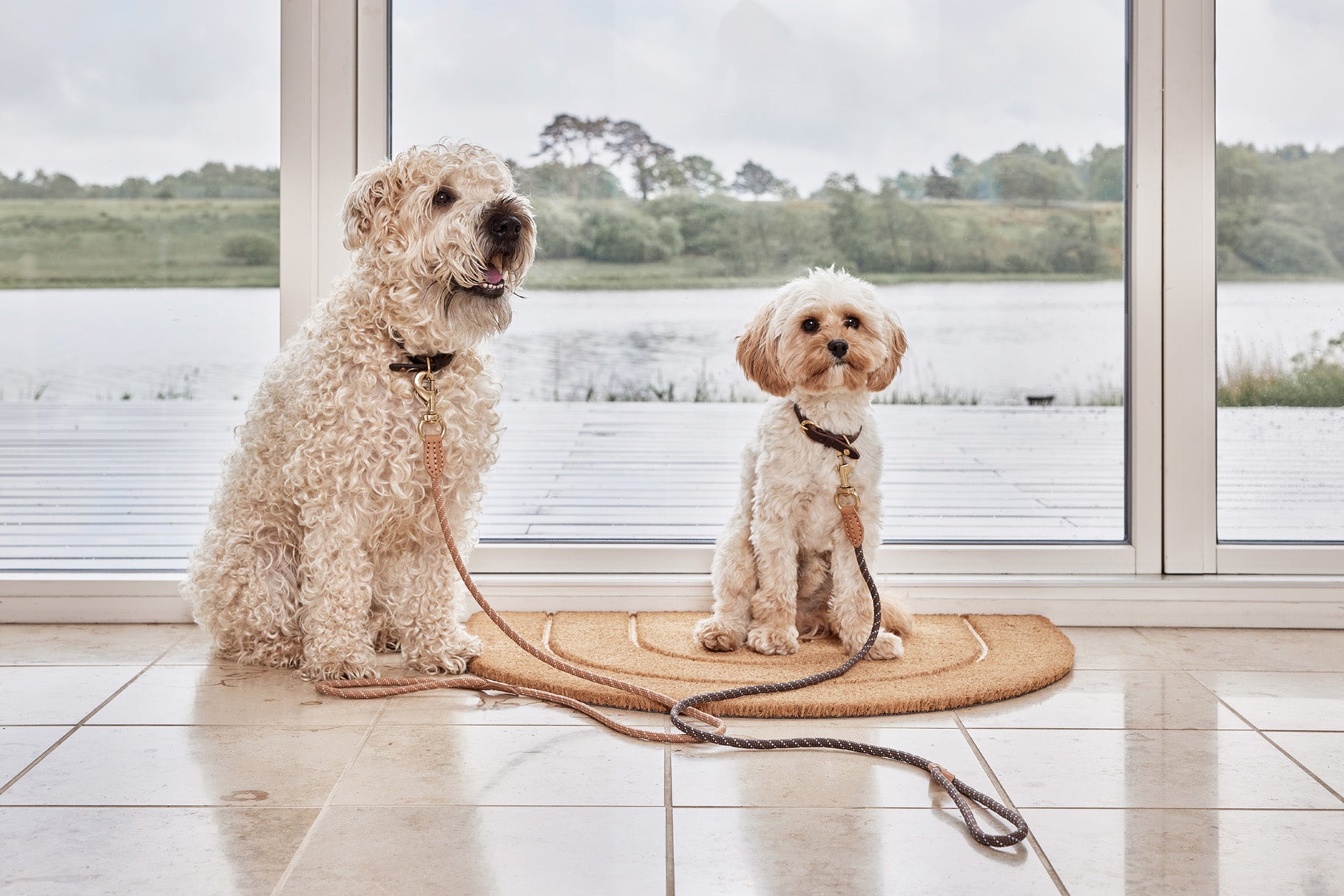 Perry Dog Leash - S/M