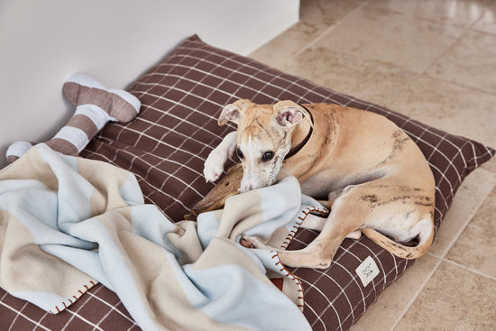 OYOY ZOO Kaya Dog Blanket - Large Plaid