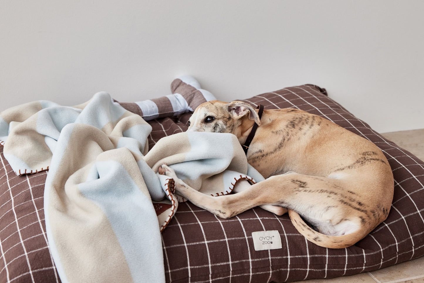 OYOY ZOO Kaya Dog Blanket - Medium Plaid
