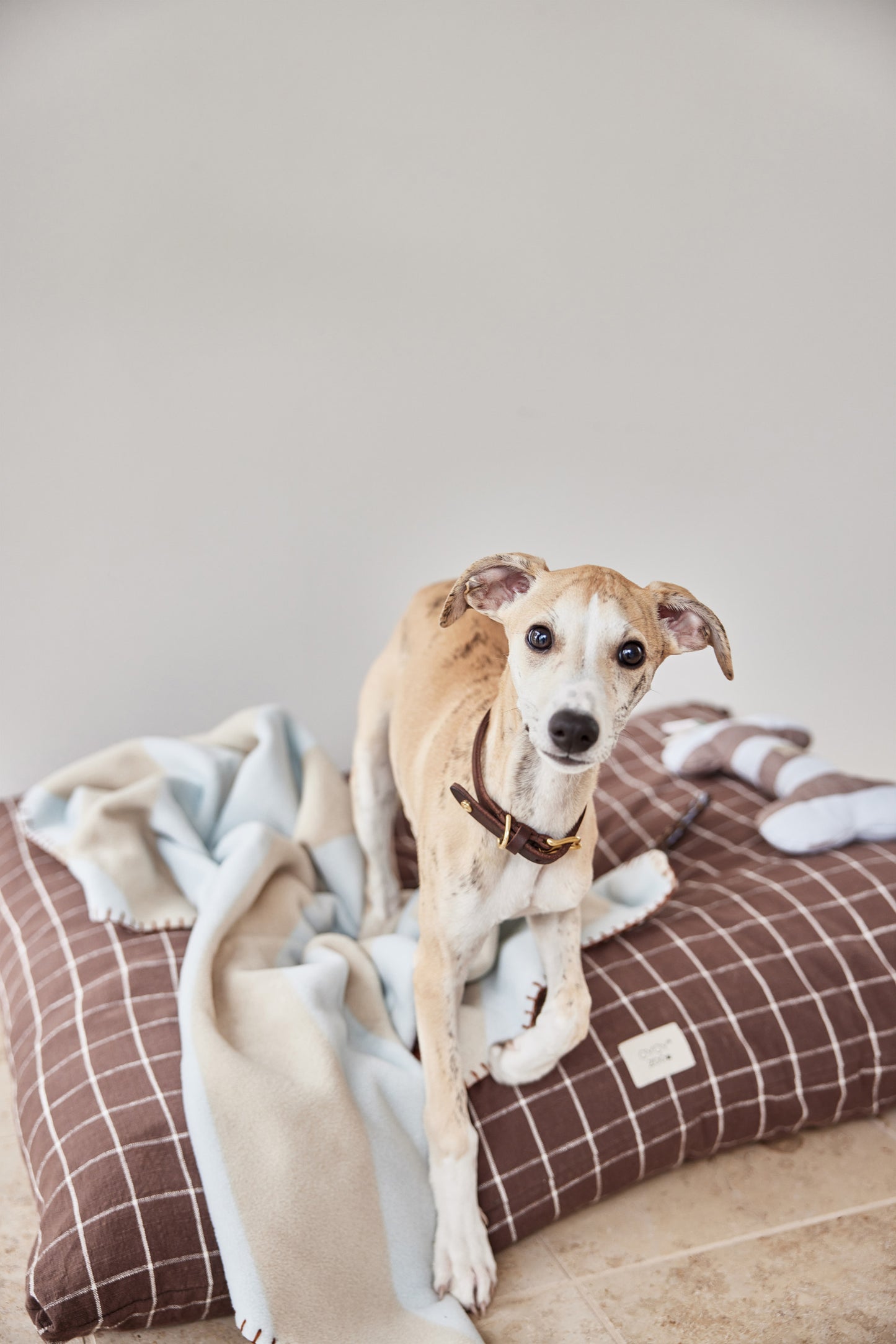 OYOY ZOO Kaya Dog Blanket - Small Plaid