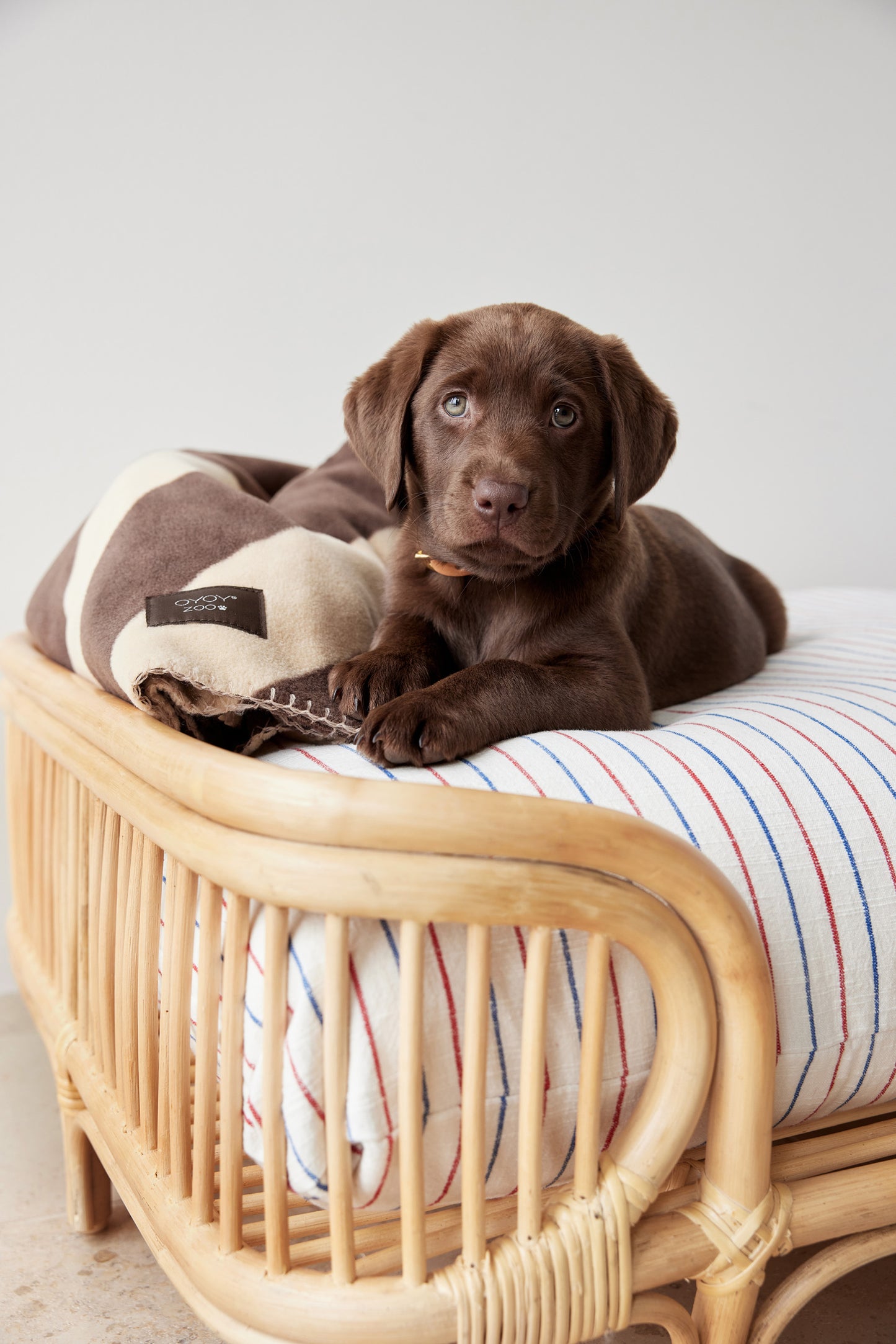 OYOY ZOO Otto Dog Bed - Medium Dog Bed