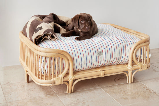 Indlæs billede i Gallery viewer, OYOY ZOO Otto Dog Bed - Medium Dog Bed
