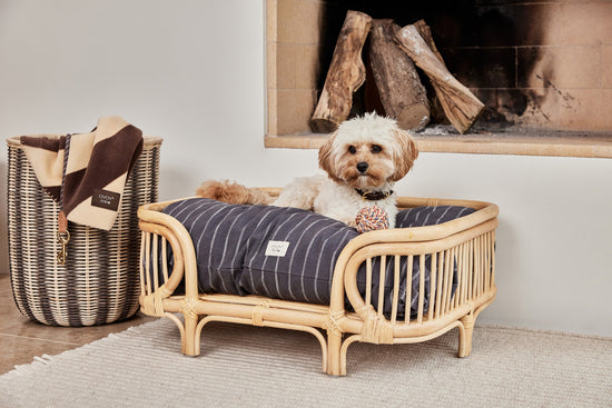 OYOY ZOO Otto Dog Bed - Small Dog Bed