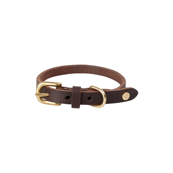 OYOY ZOO Robin Dog Collar - Small Collar & Leash 309 Choko
