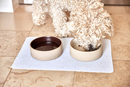 Indlæs billede i Gallery viewer, OYOY ZOO Sia Dog Bowl - Medium - 820ml Bowl 309 Choko
