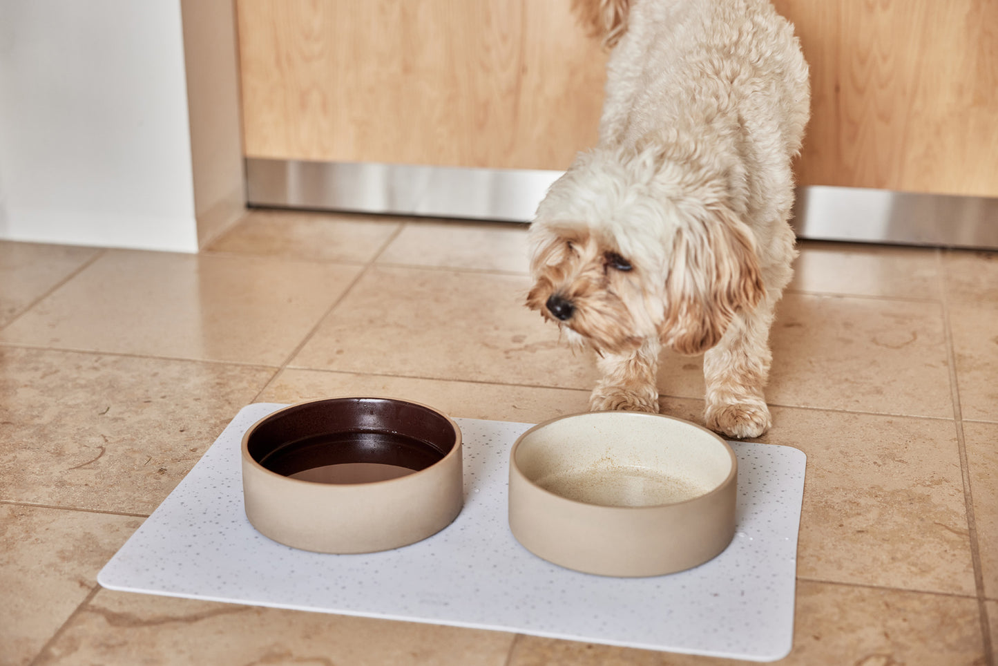 Indlæs billede i Gallery viewer, OYOY ZOO Sia Dog Bowl - Small - 380ml Bowl 102 Offwhite
