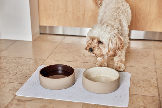 Load image into Gallery viewer, OYOY ZOO Sia Dog Bowl - Small - 380ml Bowl
