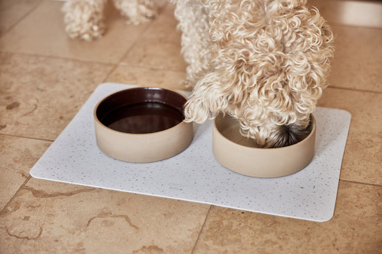 Load image into Gallery viewer, OYOY ZOO Sia Dog Bowl - Small - 380ml Bowl
